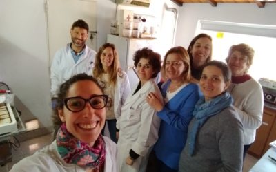 Técnicas cromatográficas para la detección de micotoxinas