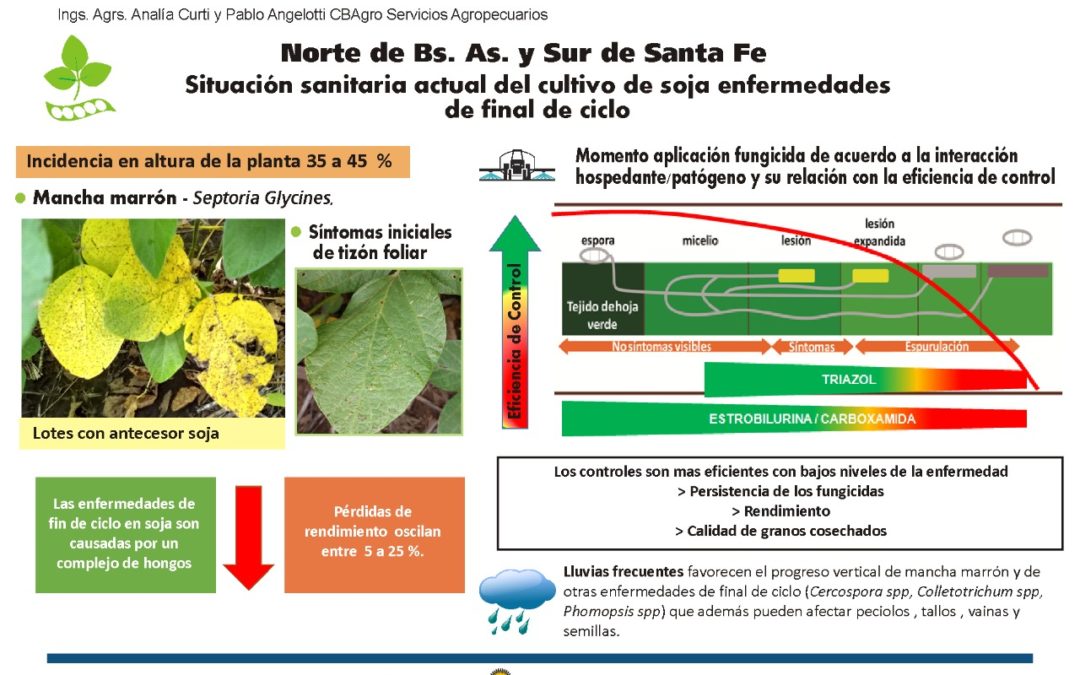 1º Informe Fitosanitario Cultivo de Soja