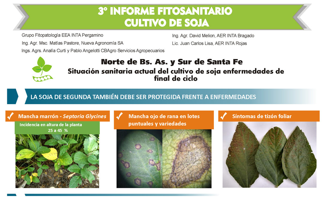 3º Informe Fitosanitario Cultivo de Soja